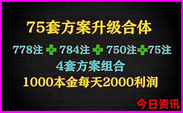 香港内部透特5码料